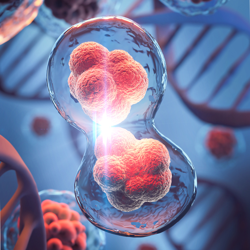Life Sciences